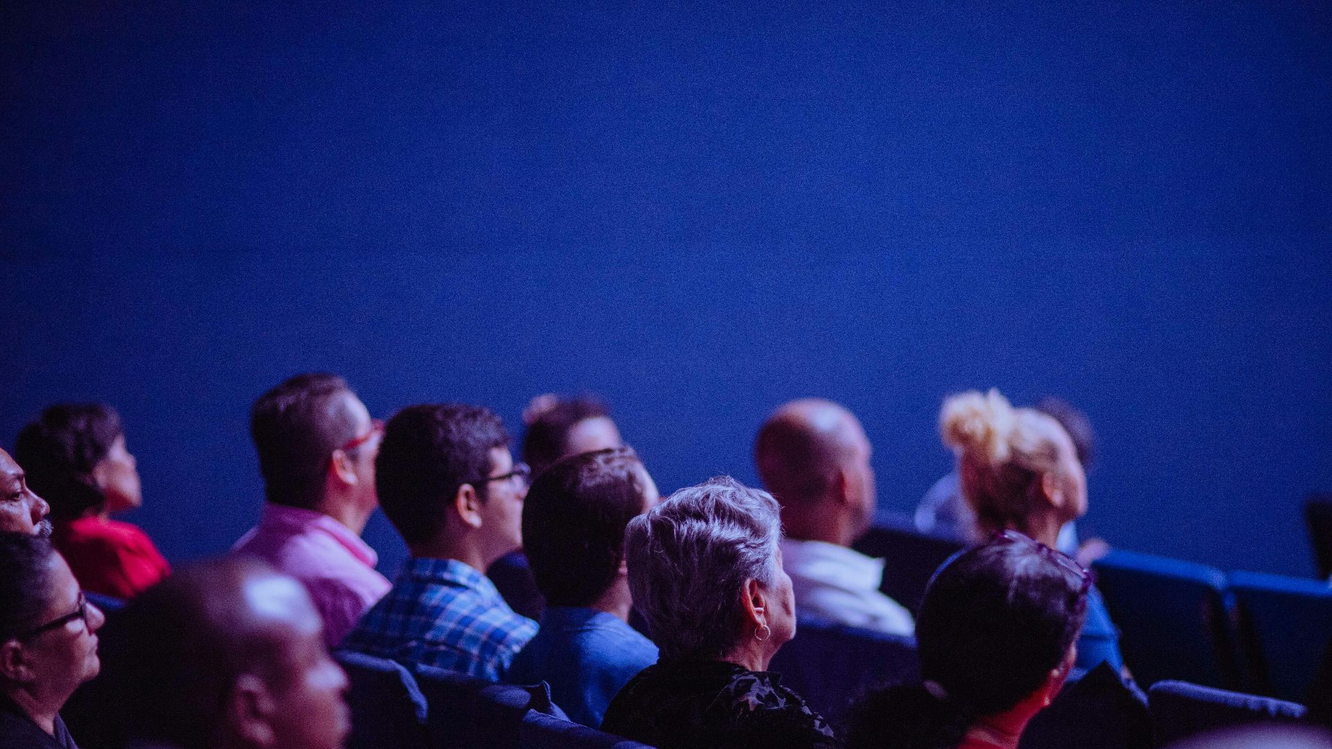 pexels-jibarofoto-2774556 (1)