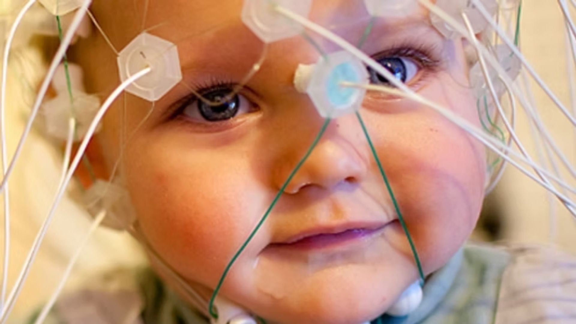 traitement-du-langage (1)