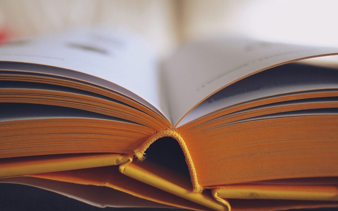 Launch of the Metagrammaticography Seminar: Understanding How We Describe Languages